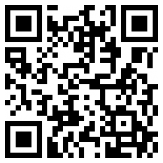 忍者后宫安卓版下载最新版本