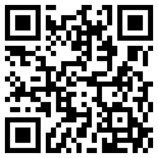 罗宾胡克2025安卓版下载