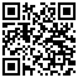 口袋地带2安卓版app