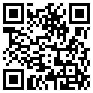 代练丸子安卓版安卓app