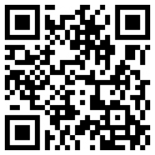 波点音乐车机版安卓下载2025版