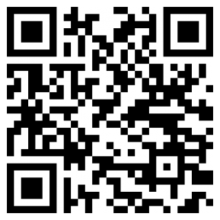 录风者行车记录仪2025安卓版