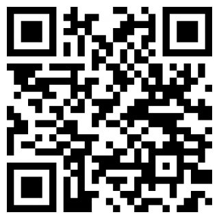 飞鸟模拟器2025下载安卓版