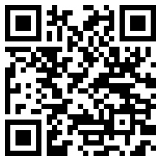 汇飞主题壁纸手机版