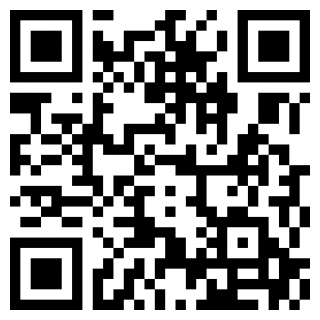 大圣隐身手机版