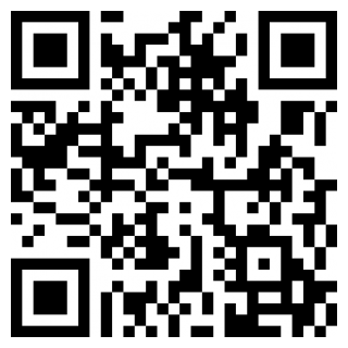 Kiwi浏览器中文手机版