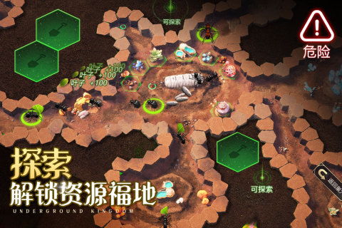 小小蚁国蚁王之战