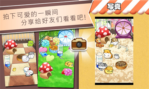 仓鼠的日常免费下载最新版
