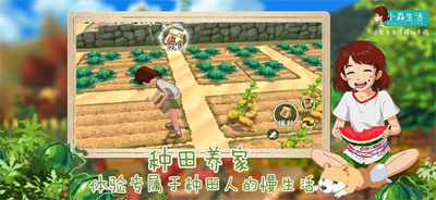 小森生活手机版2023下载ios最新版