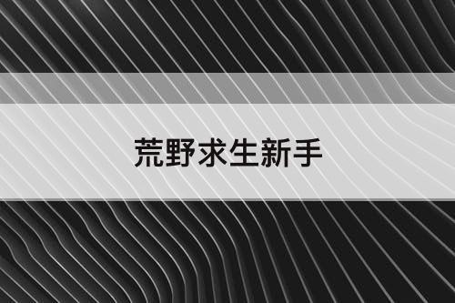 荒野求生新手