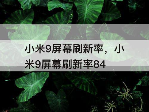 小米9屏幕刷新率，小米9屏幕刷新率84