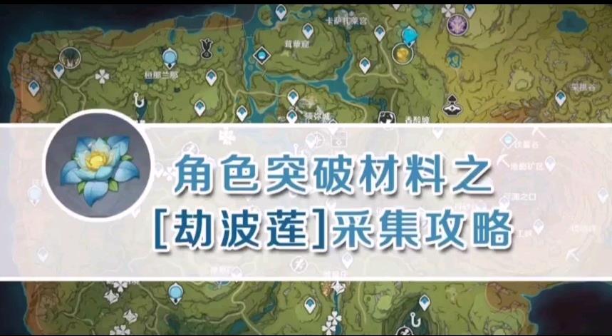 原神劫波莲采集点 原神劫波莲采集点