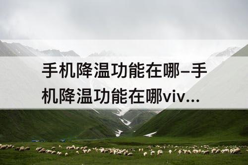 手机降温功能在哪-手机降温功能在哪vivox60
