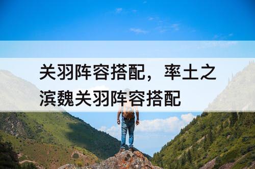 关羽阵容搭配，率土之滨魏关羽阵容搭配