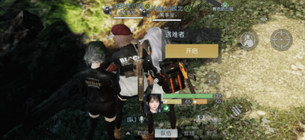 16f63fc10ed3be4f_600_0.png