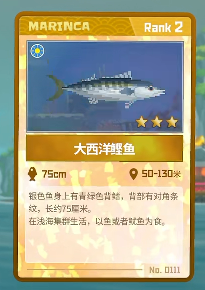 潜水员戴夫大西洋鲣鱼在哪