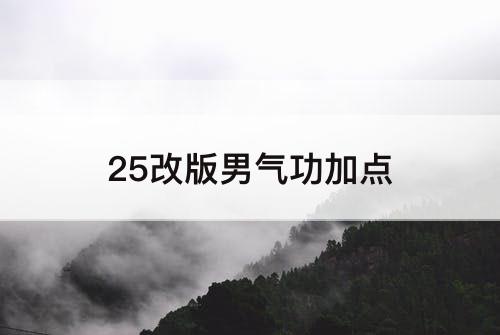 25改版男气功加点