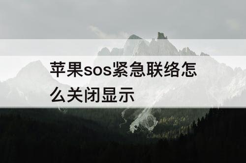 苹果sos紧急联络怎么关闭显示