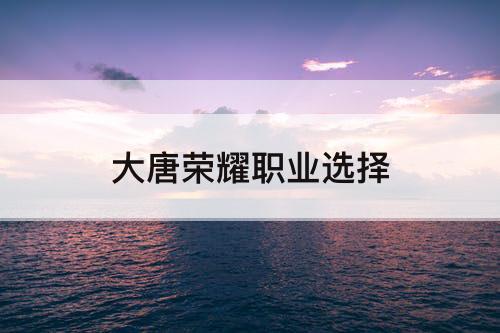 大唐荣耀职业选择