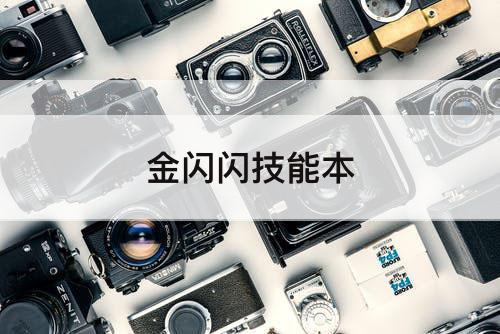 金闪闪技能本