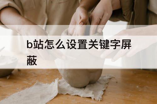 b站怎么设置关键字屏蔽