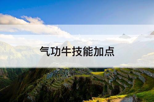 气功牛技能加点