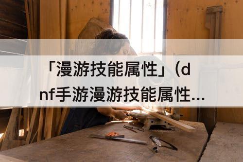「漫游技能属性」(dnf手游漫游技能属性)