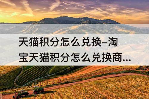 天猫积分怎么兑换-淘宝天猫积分怎么兑换商品