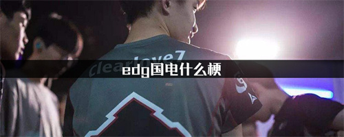 英雄联盟国电是什么意思
