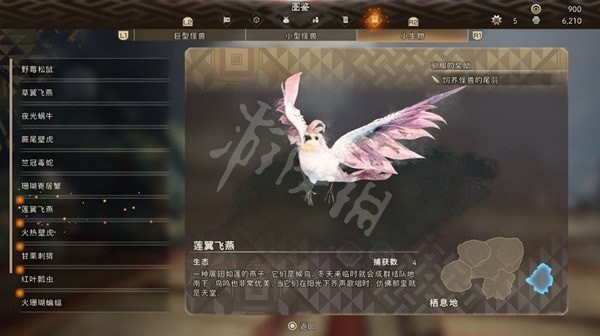 16f6402d5ebc69cb_600_0.jpeg