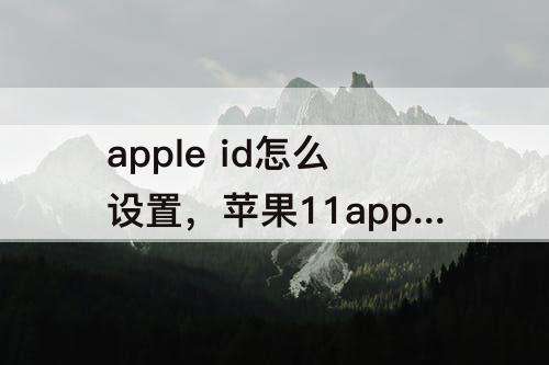 apple  id怎么设置，苹果11apple  id怎么设置