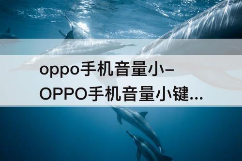 oppo手机音量小-OPPO手机音量小键无法使用如何强关机