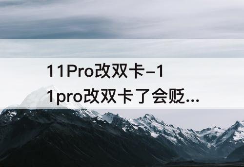 11Pro改双卡-11pro改双卡了会贬值吗