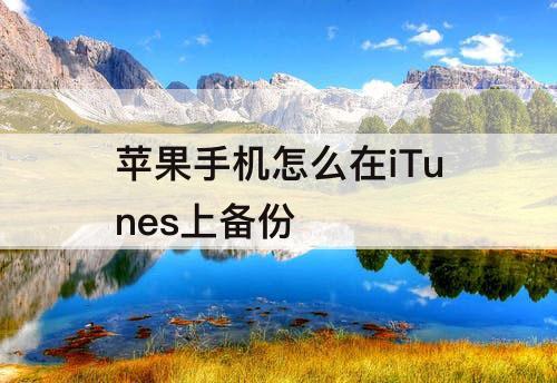 苹果手机怎么在iTunes上备份