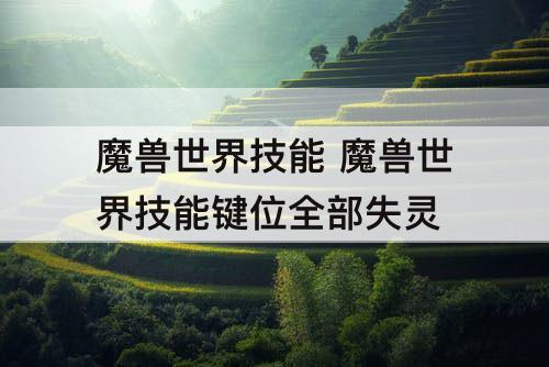 魔兽世界技能 魔兽世界技能键位全部失灵