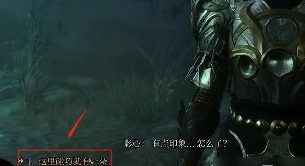 博德之门3暗夜之花成就攻略