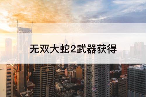无双大蛇2武器获得