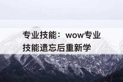 专业技能：wow专业技能遗忘后重新学