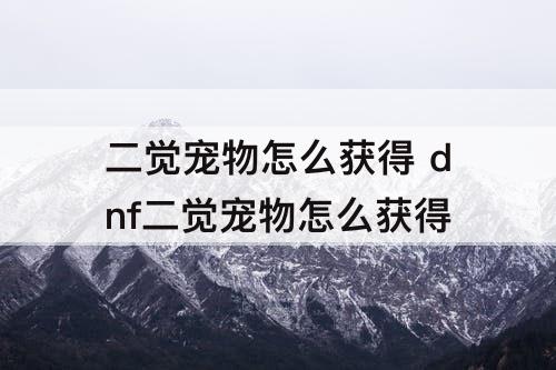 二觉宠物怎么获得 dnf二觉宠物怎么获得