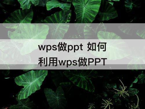 wps做ppt  如何利用wps做PPT