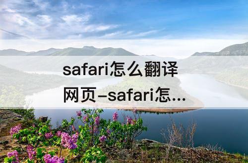 safari怎么翻译网页-safari怎么翻译网页内容