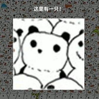 16f6435318525a08_600_0.jpeg