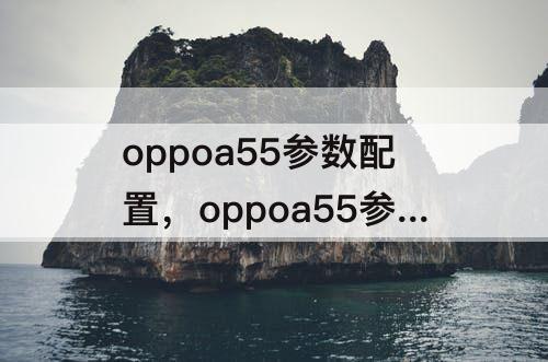 oppoa55参数配置，oppoa55参数配置详情8+128