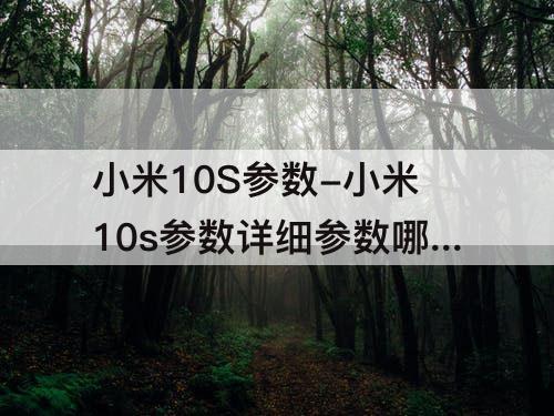 小米10S参数-小米10s参数详细参数哪里看