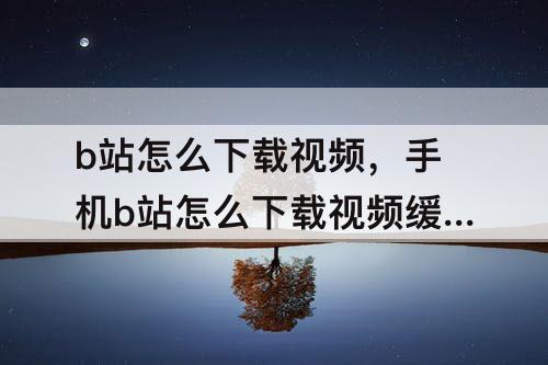b站怎么下载视频，手机b站怎么下载视频缓存