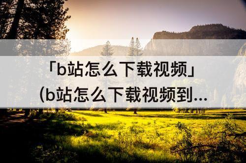「b站怎么下载视频」(b站怎么下载视频到手机上华为)