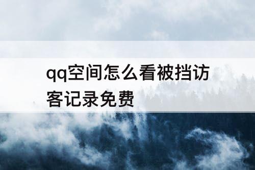 qq空间怎么看被挡访客记录免费