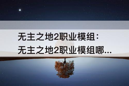 无主之地2职业模组：无主之地2职业模组哪里刷