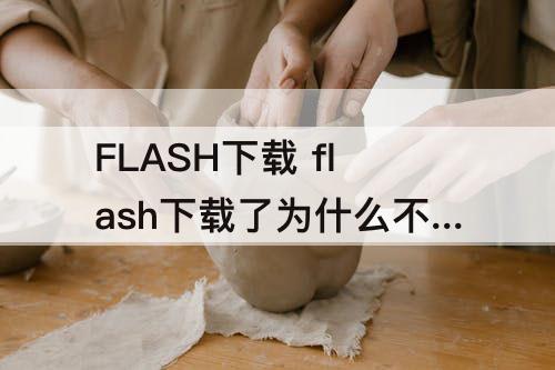FLASH下载 flash下载了为什么不能用