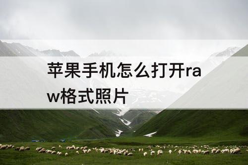 苹果手机怎么打开raw格式照片